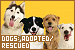  Dogs: Adopted & Rescued