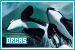  Orcas